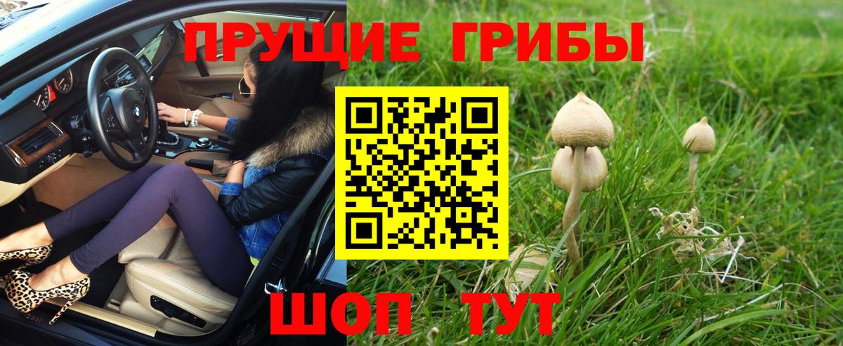 Псилоцибиновые грибы MAGIC MUSHROOMS Торжок