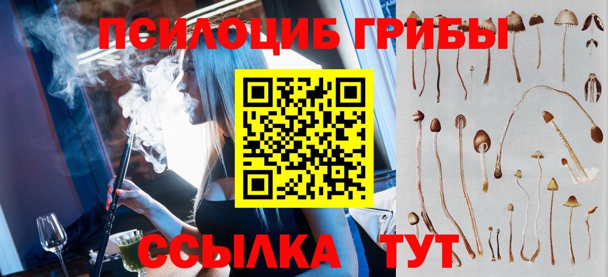 Галлюциногенные грибы MAGIC MUSHROOMS  Галлюциногенные грибы Psilocybe  Вход с VPN  Торжок 
